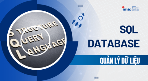 Khóa học SQL Databases